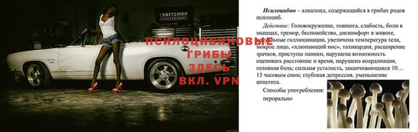 ГАЛЛЮЦИНОГЕННЫЕ ГРИБЫ Беломорск