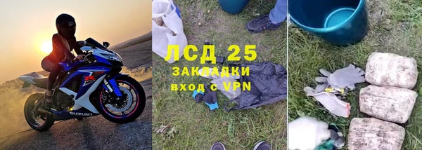 ПСИЛОЦИБИНОВЫЕ ГРИБЫ Белоозёрский